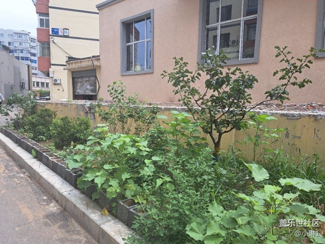 【阳光照耀的地方】绿意盎然