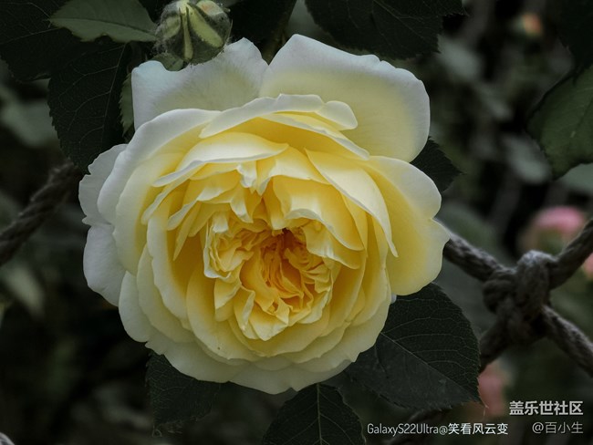 《精品大咖秀》 第八期: 三伏天来了 《精品大咖秀》 第八期: 三伏天来了