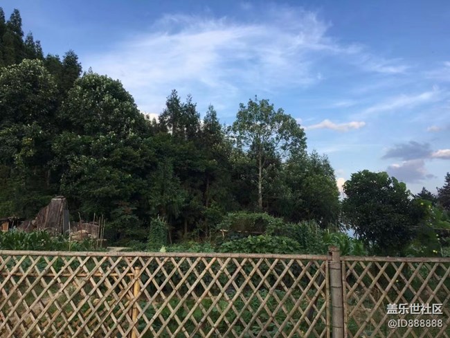 【夏日色彩】午后