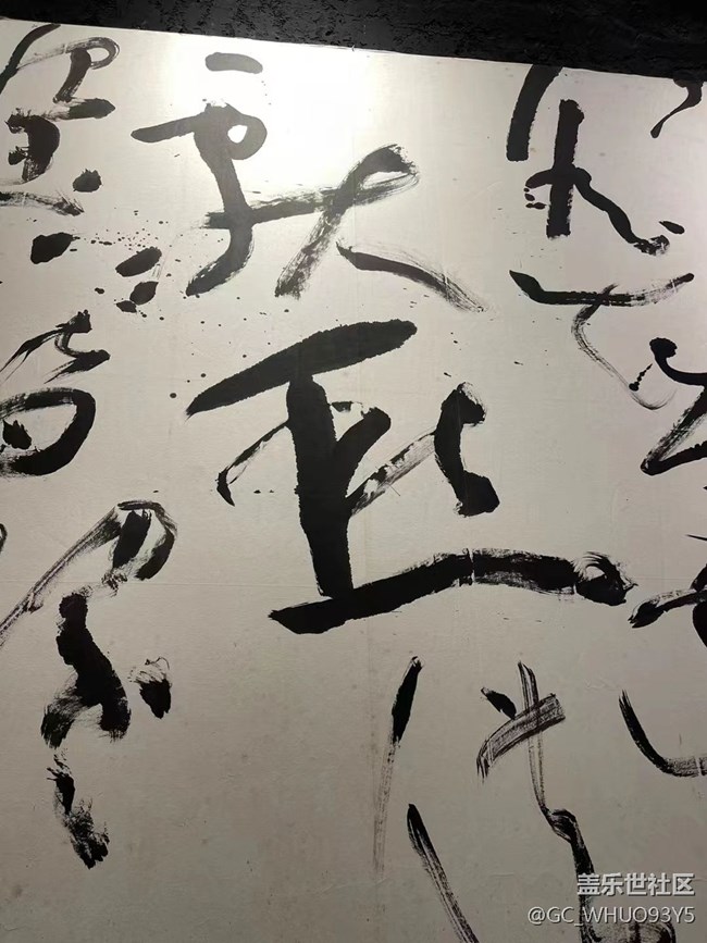 【火热的夏天】狂草展