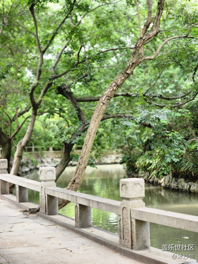 【汇龙潭公园摄影活动】+绿色环绕