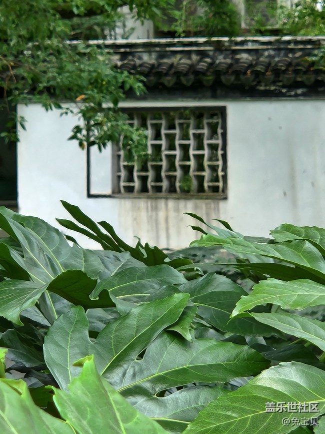 【汇龙潭公园摄影活动】+变焦的实用