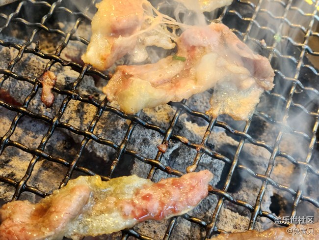 #夏日美食——烤肉
