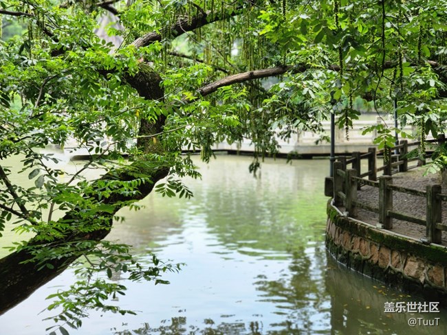 【汇龙潭公园摄影活动】+公园小景