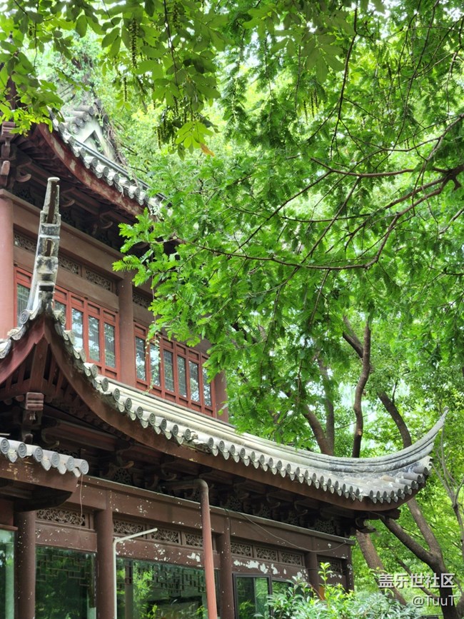 【汇龙潭公园摄影活动】+公园小景