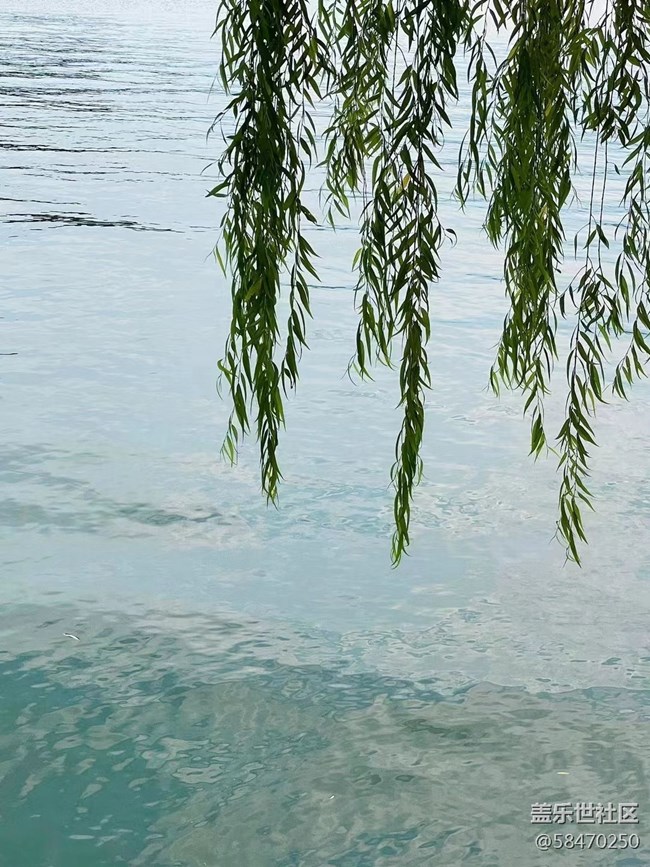 【火热的夏天】游西湖