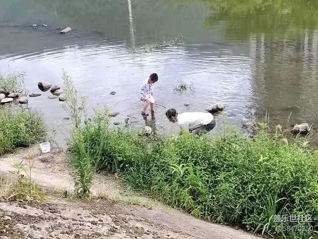 【记忆中的夏天】下河捞鱼