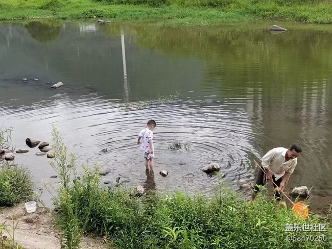 【记忆中的夏天】下河捞鱼