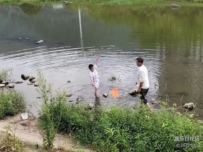 【记忆中的夏天】下河捞鱼