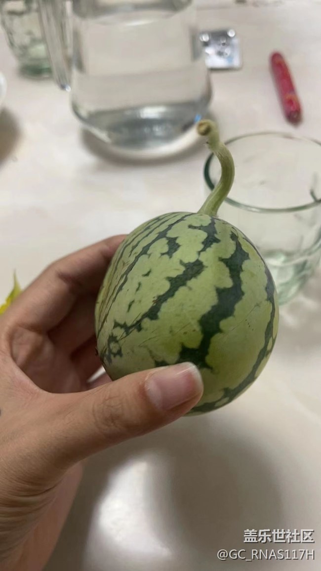 【记忆中的夏天】小西瓜
