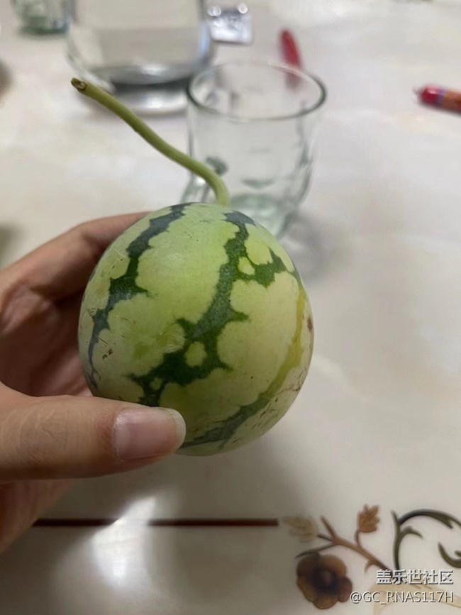 【记忆中的夏天】小西瓜