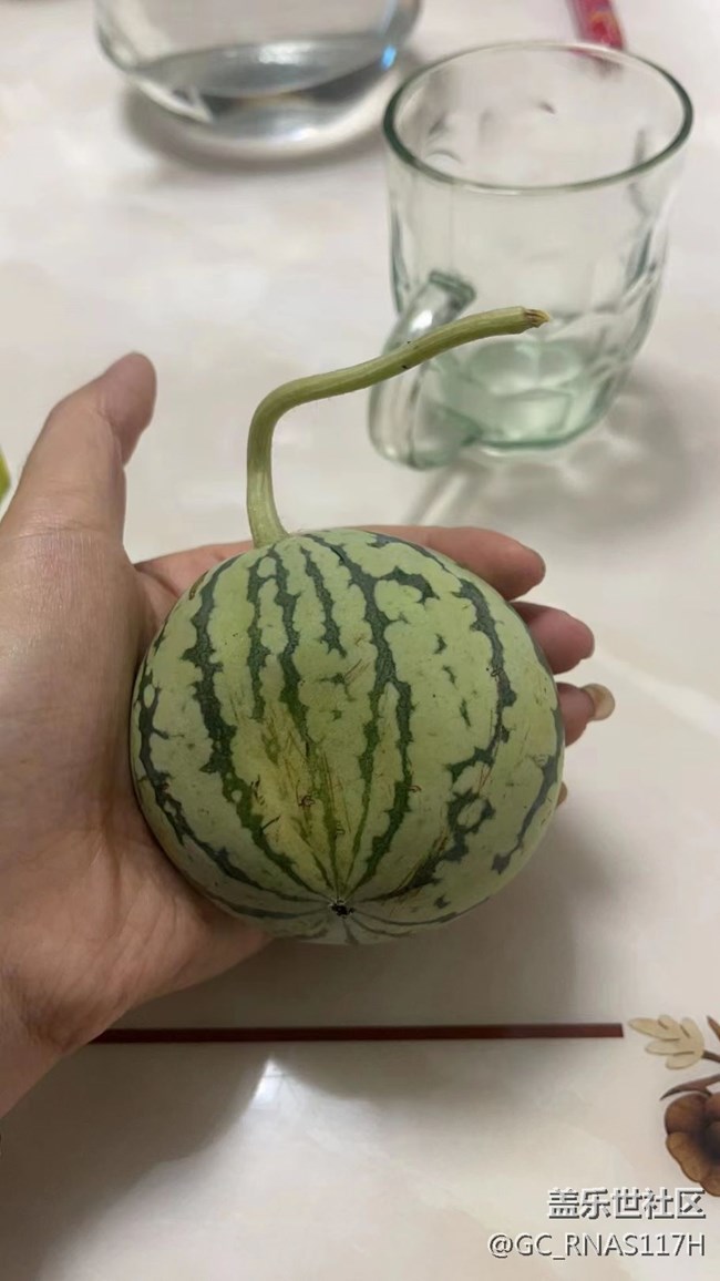 【记忆中的夏天】小西瓜