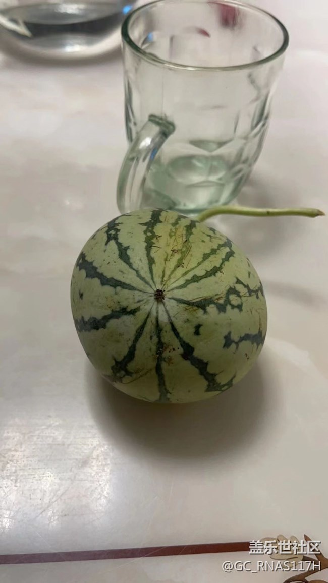【记忆中的夏天】小西瓜
