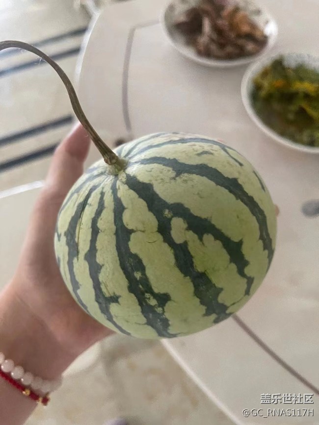 【记忆中的夏天】小西瓜