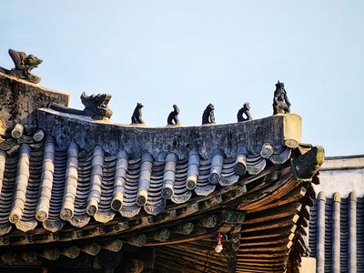 【创意生活】+ 旅行快乐