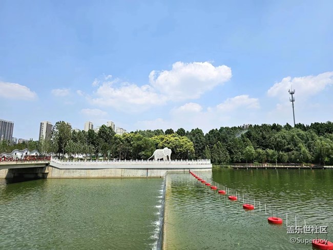 【记忆中的夏天】公园湖畔