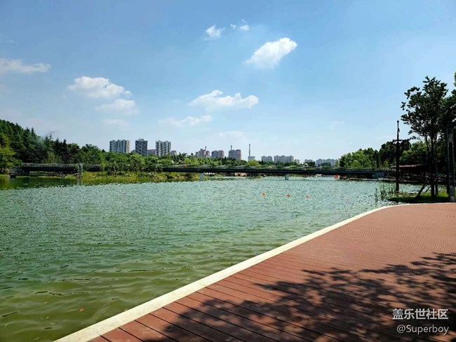 【记忆中的夏天】公园湖畔