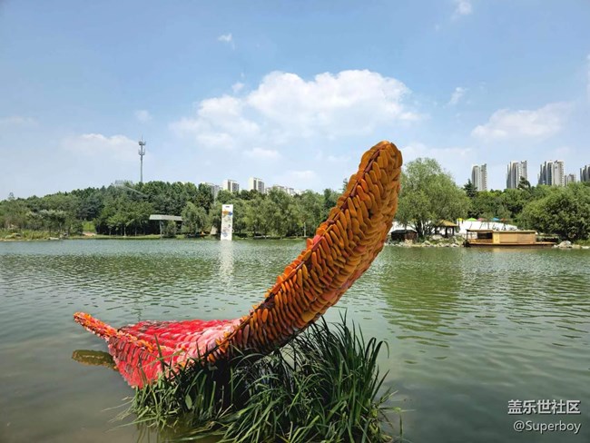 【记忆中的夏天】公园湖畔