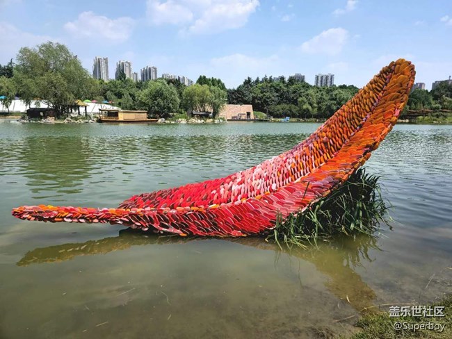 【记忆中的夏天】公园湖畔