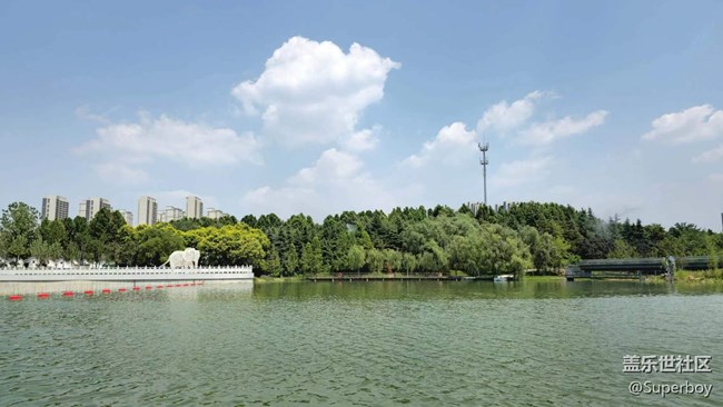 【记忆中的夏天】公园湖畔