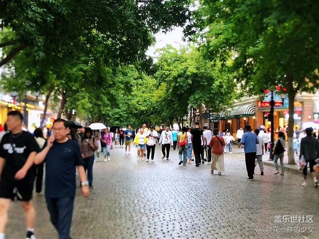 【阳光照耀的地方】中央大街