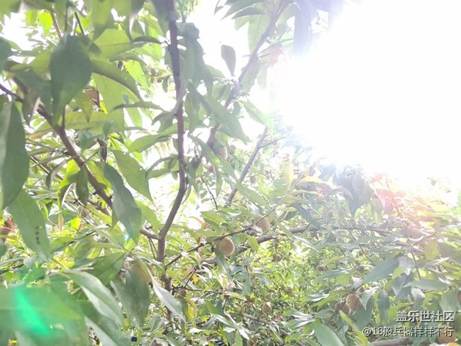 【火热的夏天】早上好