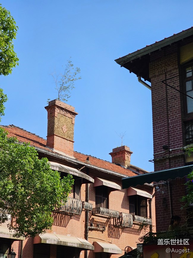 【黎黄陂路】咔咔拍