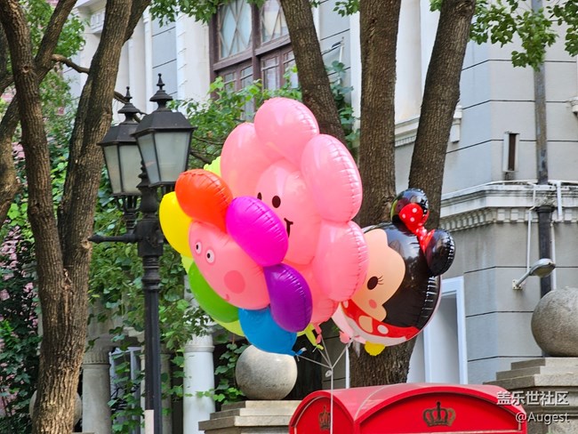 【黎黄陂路】咔咔拍