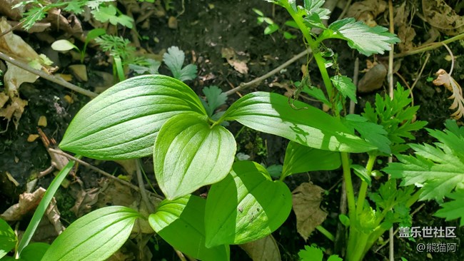 【火热的夏天】避暑