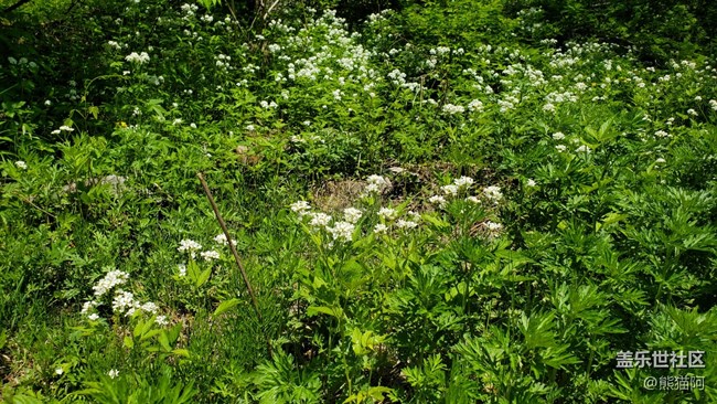 【火热的夏天】避暑