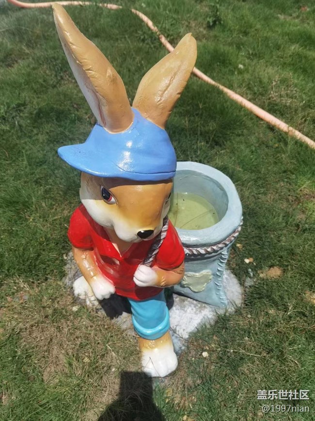 【火热的夏天】调皮的小松鼠