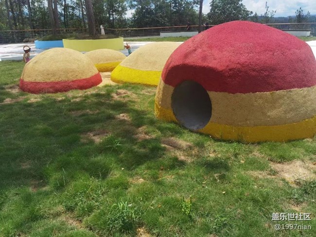 【火热的夏天】调皮的小松鼠