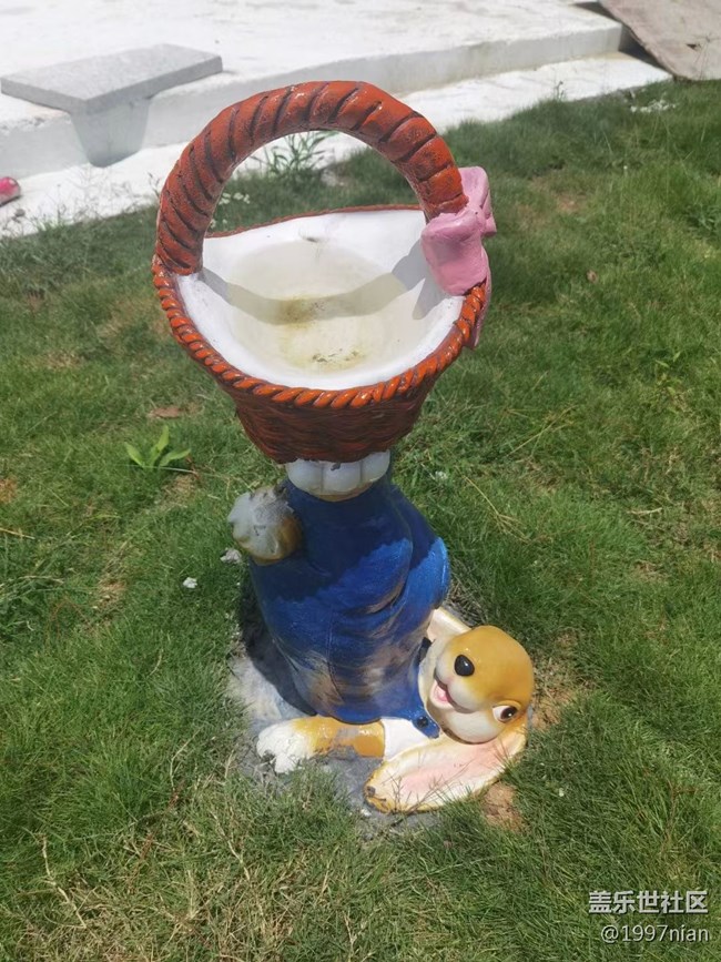 【火热的夏天】调皮的小松鼠