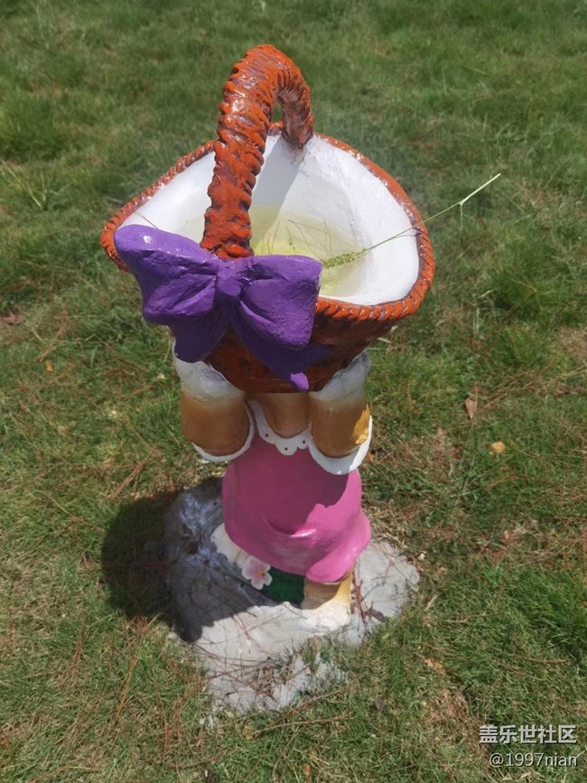 【火热的夏天】调皮的小松鼠