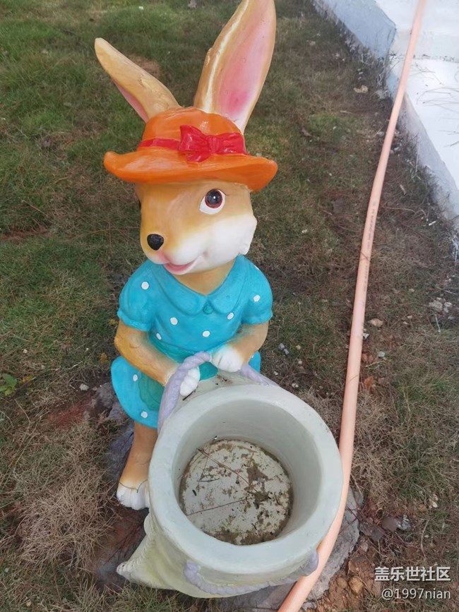 【火热的夏天】调皮的小松鼠