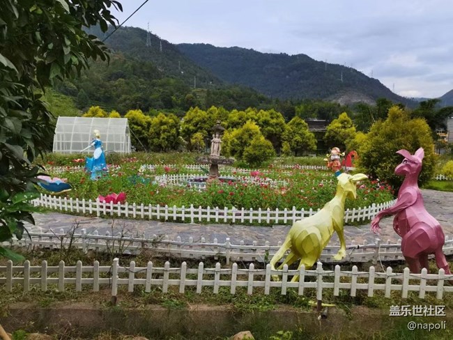 【夏季的花】花园
