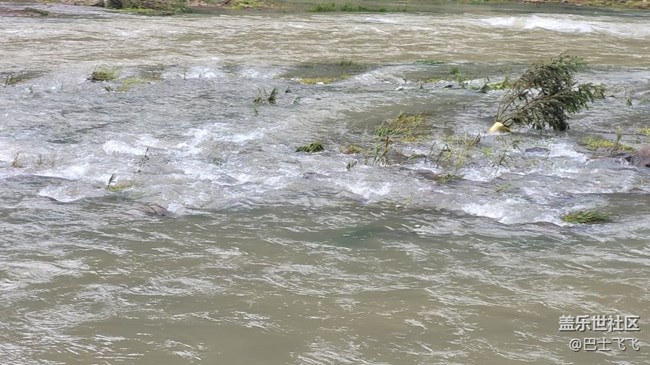 【夏日炎炎】河水涛涛