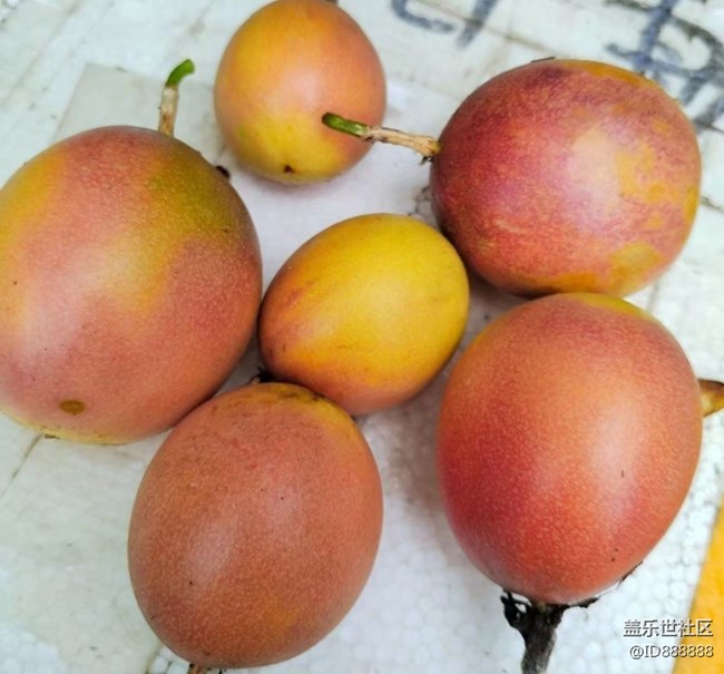 【捕捉夏日美好】百香果