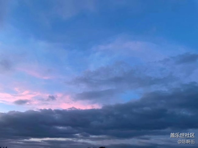 【夏日炎炎】荷花池