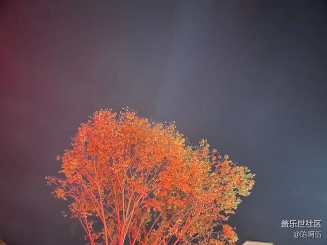 【夏日炎炎】荷花池