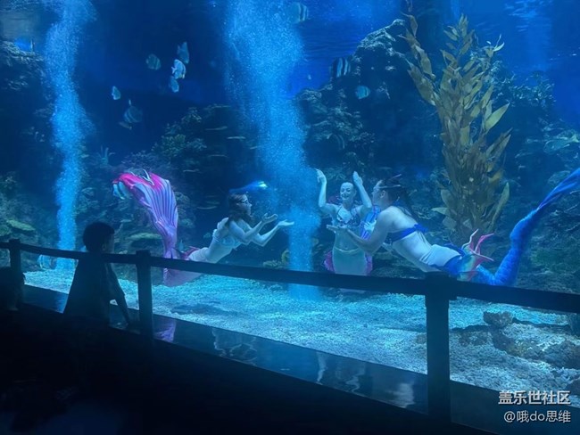 【捕捉夏日美好】海洋馆