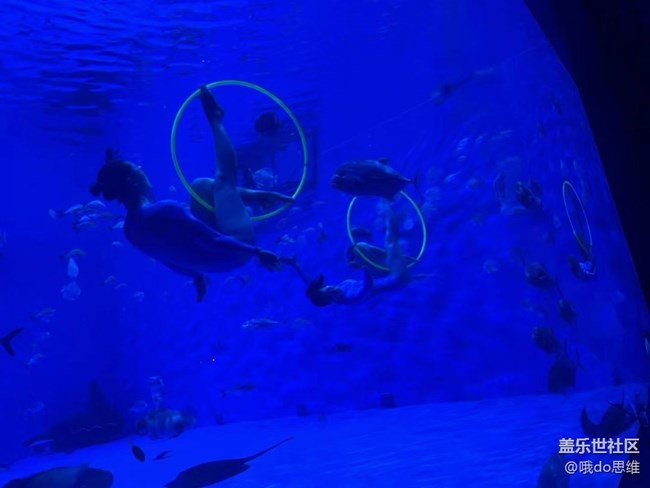 【捕捉夏日美好】海洋馆