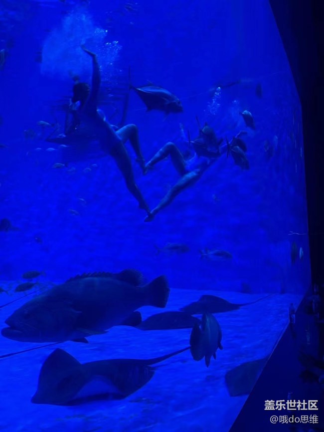 【捕捉夏日美好】海洋馆