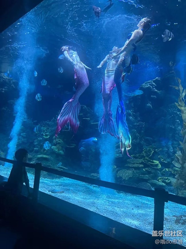 【捕捉夏日美好】海洋馆