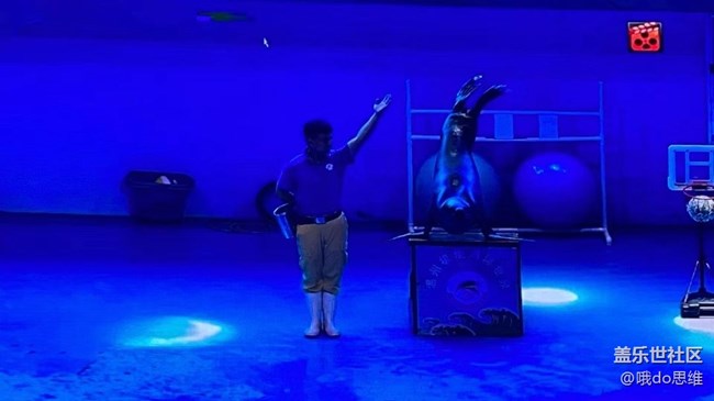 【捕捉夏日美好】海洋馆