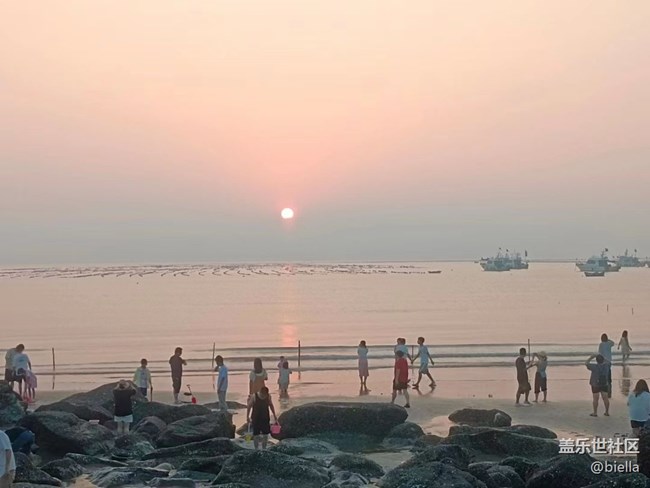 【夏日炎炎】赶海