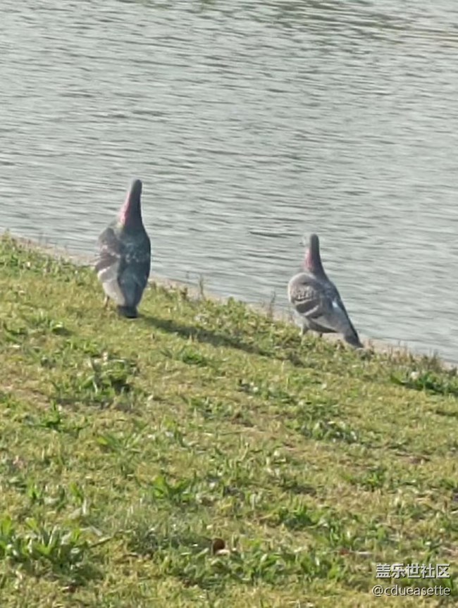 【那年初秋】风景