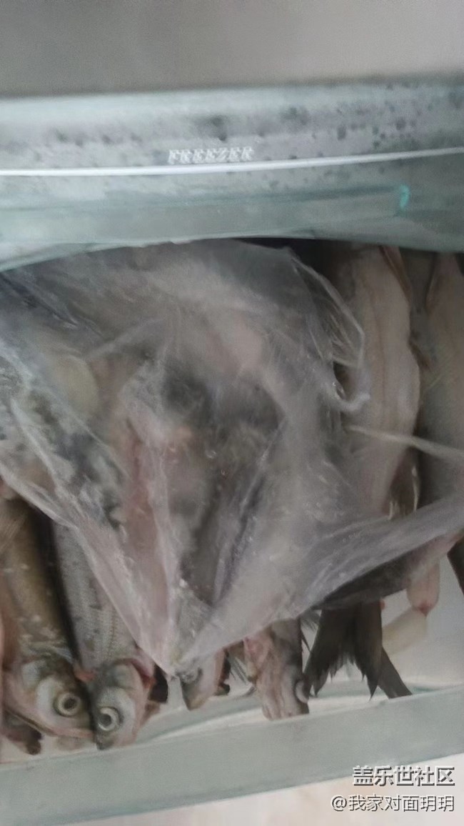 【夏日炎炎】钓鱼