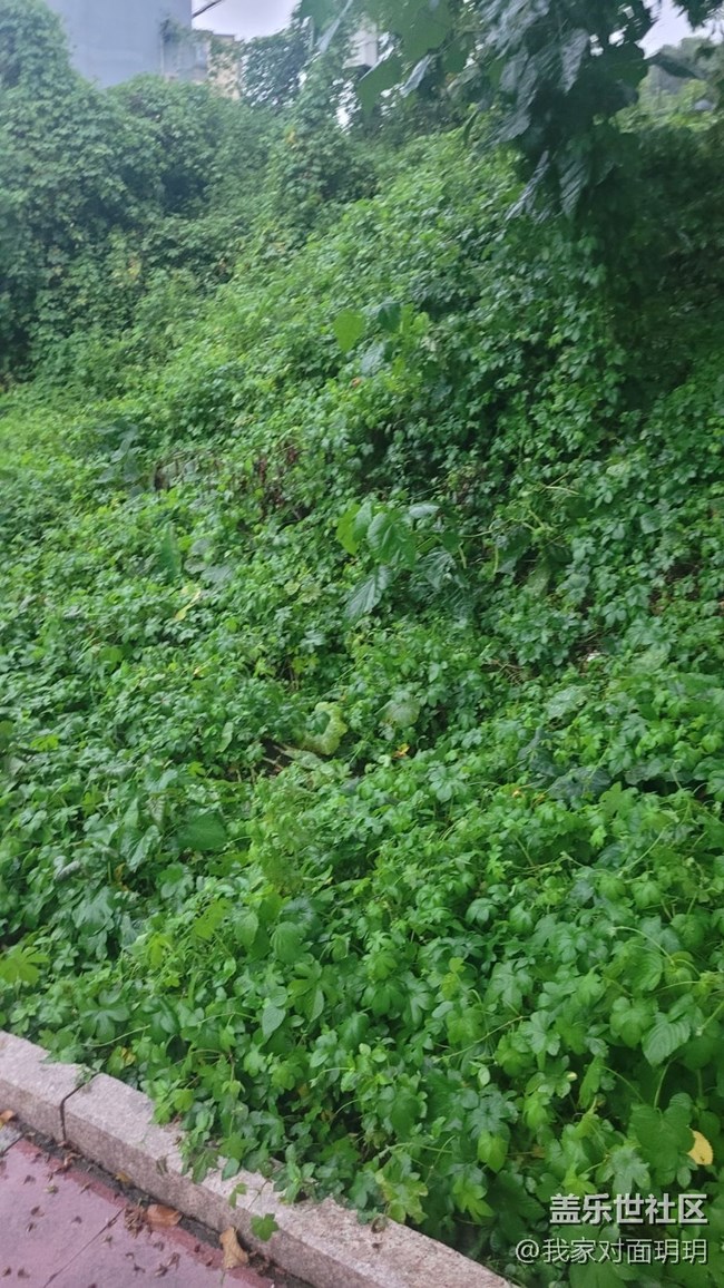 【那年初秋】立秋