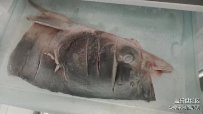 【夏日炎炎】钓鱼